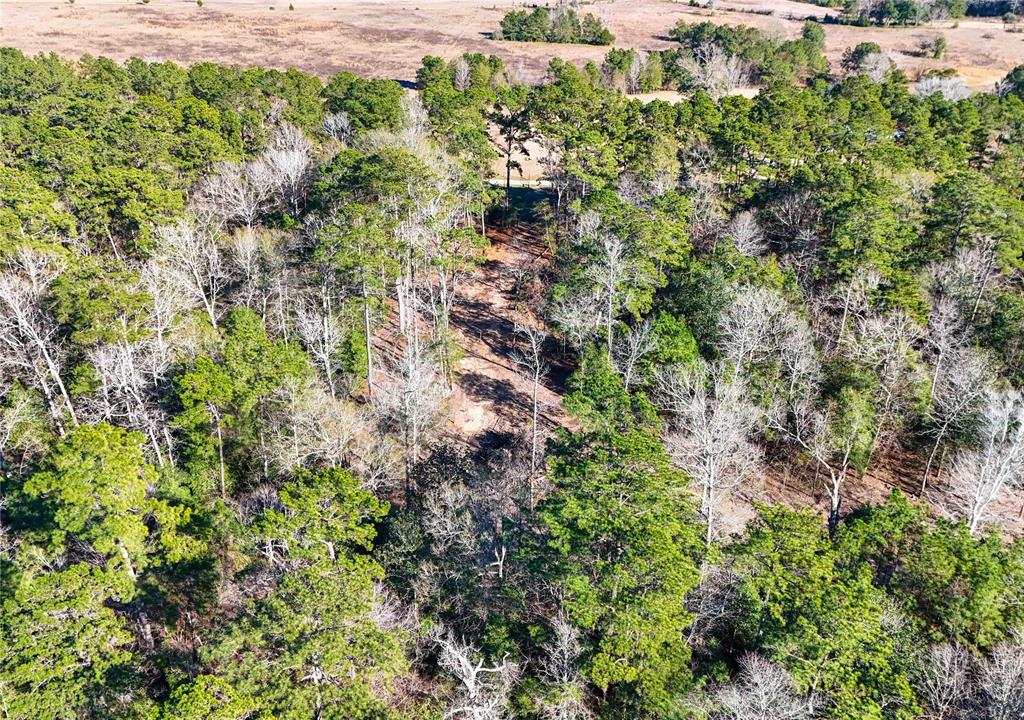 TBD Cr 2777, Woodville, Texas image 38