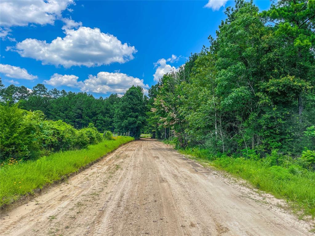 TBD Cr 2777, Woodville, Texas image 46