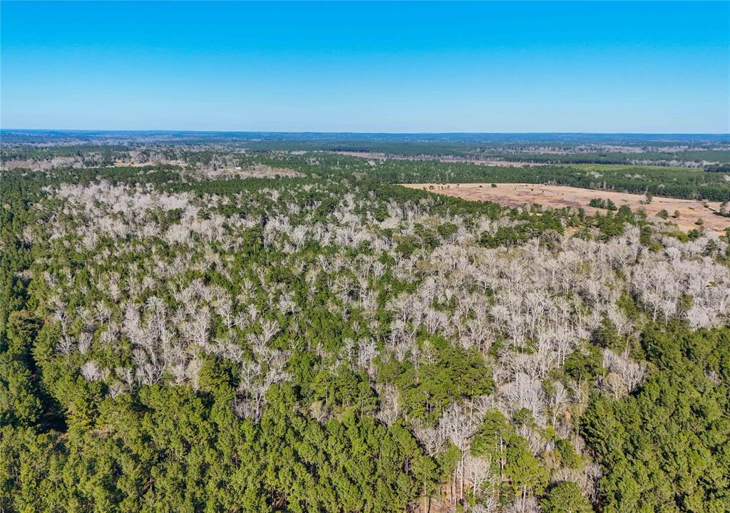 TBD Cr 2777, Woodville, Texas image 33