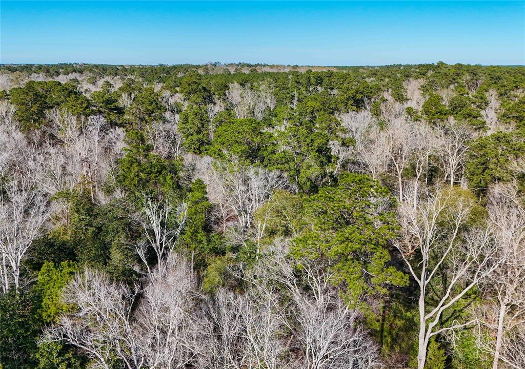 TBD Cr 2777, Woodville, Texas image 27