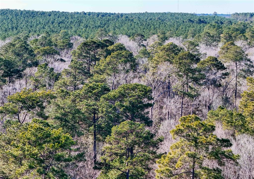 TBD Cr 2777, Woodville, Texas image 39