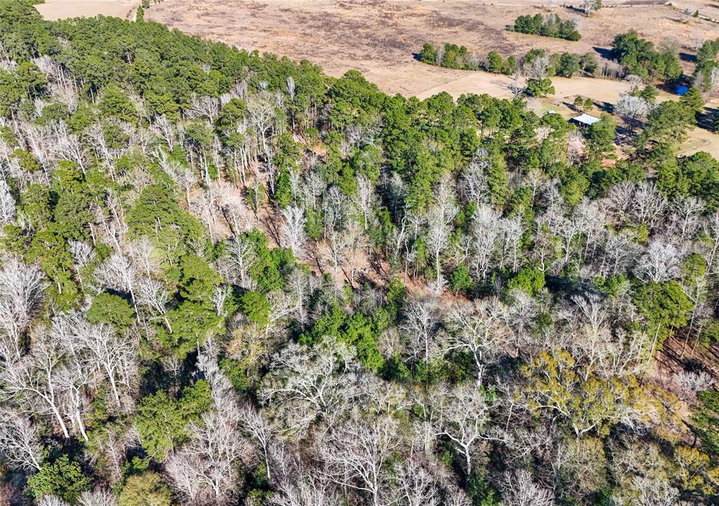 TBD Cr 2777, Woodville, Texas image 24