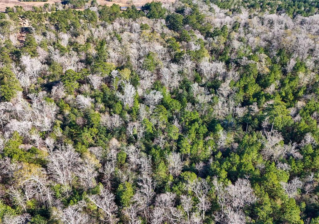 TBD Cr 2777, Woodville, Texas image 37