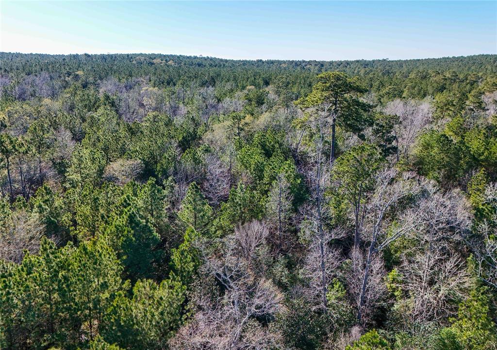 TBD Cr 2777, Woodville, Texas image 29