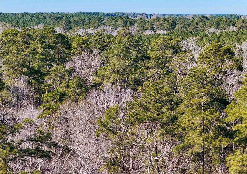 TBD Cr 2777, Woodville, Texas image 40