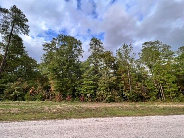 00 Hereford Trail, Huntsville, Texas image 4