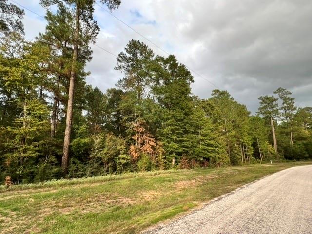 00 Hereford Trail, Huntsville, Texas image 6