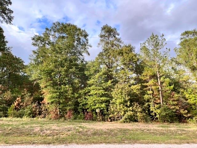 00 Hereford Trail, Huntsville, Texas image 5