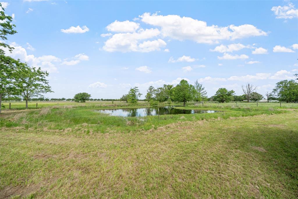 32287 Rochen Road, Waller, Texas image 37