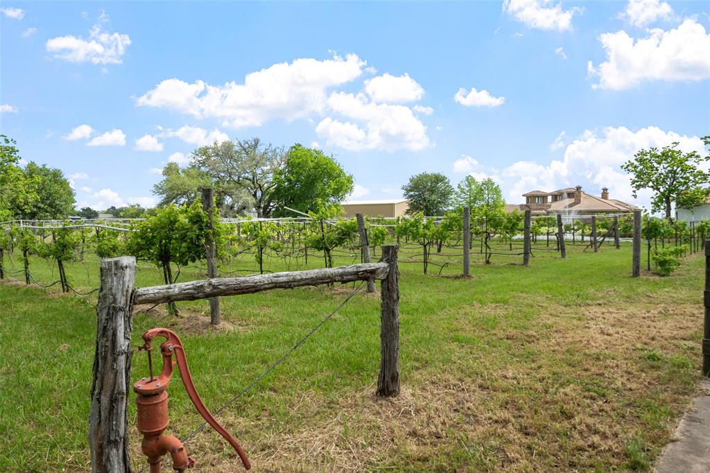 32287 Rochen Road, Waller, Texas image 10