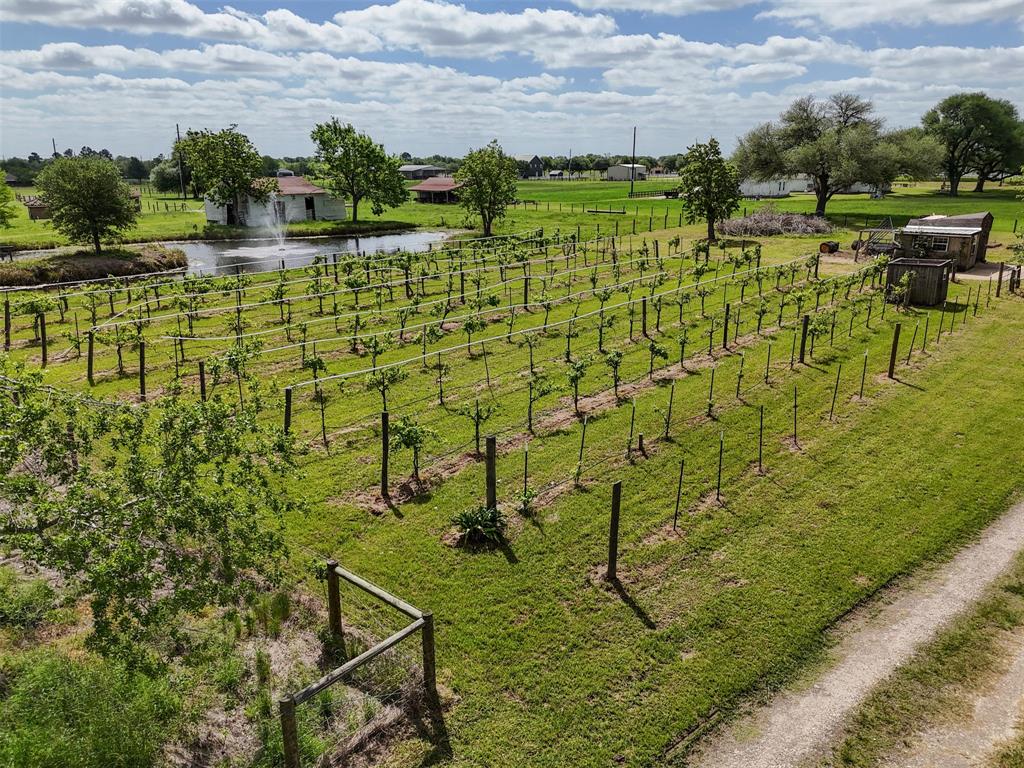 32287 Rochen Road, Waller, Texas image 9