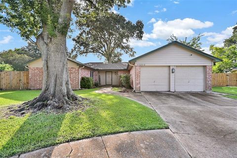 17202 Heritage Bay Drive Webster TX 77598