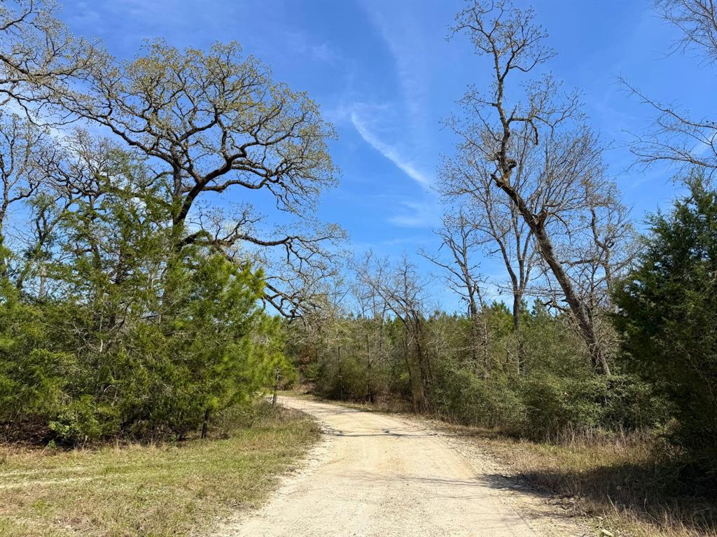 Cr 3450, Lovelady, Texas image 10