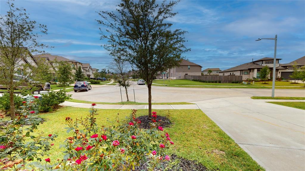 23604 Olive creek Lane