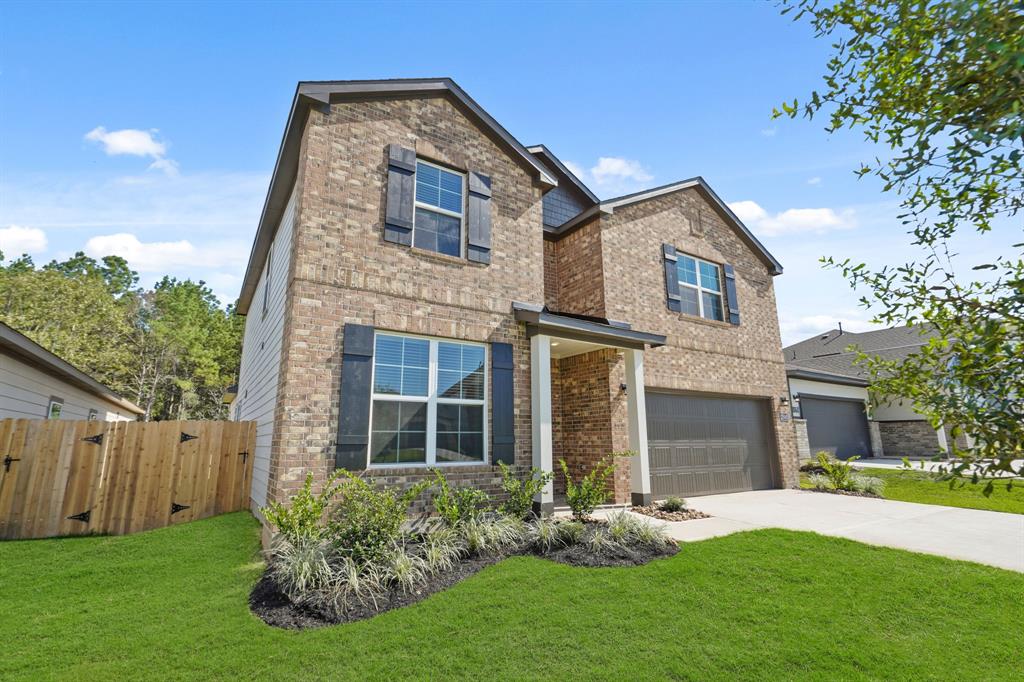 25045 Pomegranate Place, Montgomery, Texas image 3