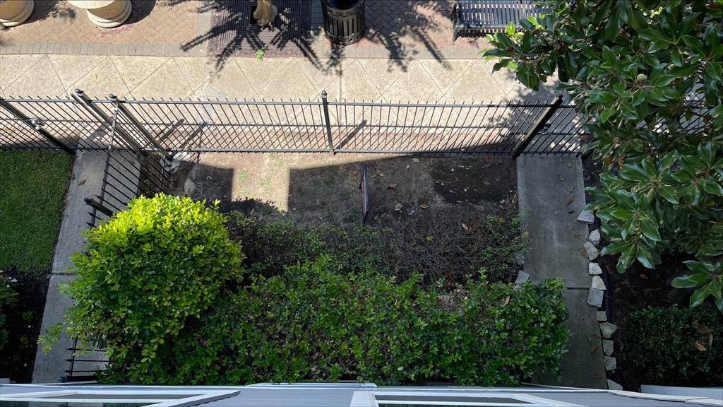 1718 Elgin Street, Houston, Texas image 15