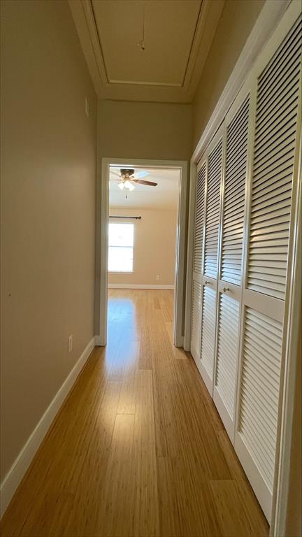1718 Elgin Street, Houston, Texas image 35