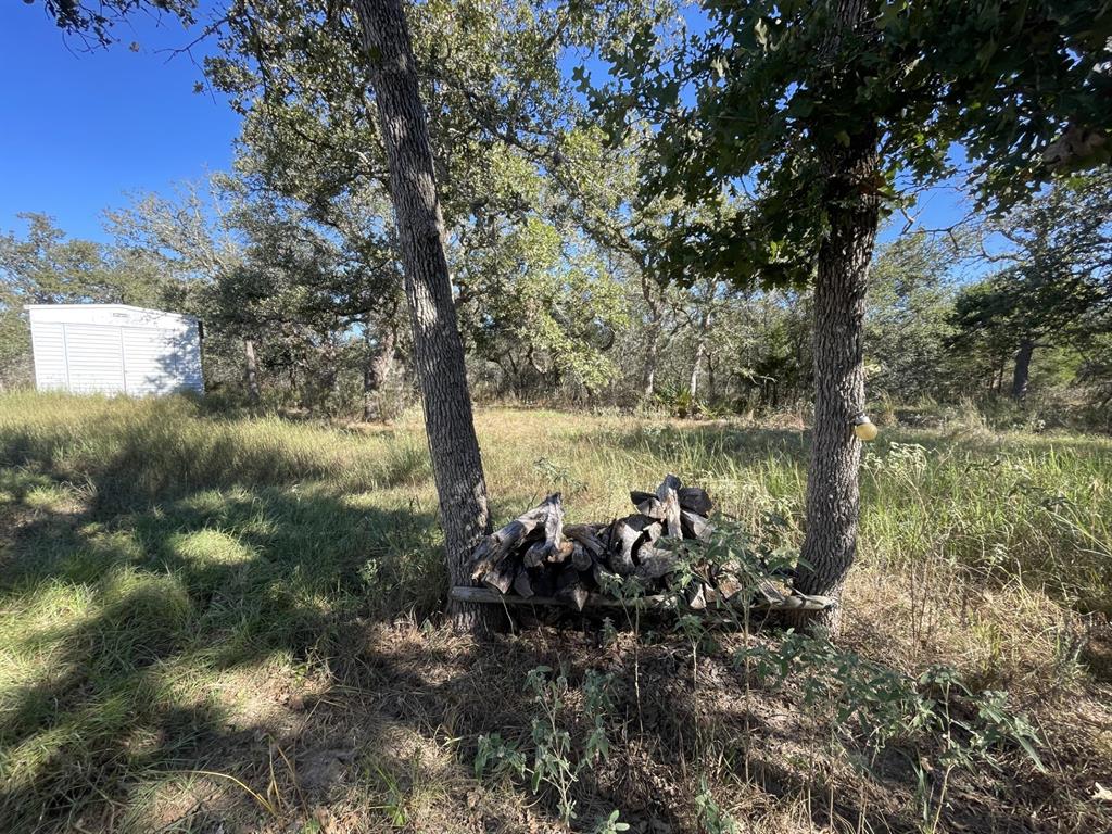 Lot 4 County Road 14, Hallettsville, Texas image 7