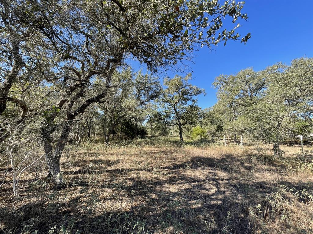 Lot 4 County Road 14, Hallettsville, Texas image 8