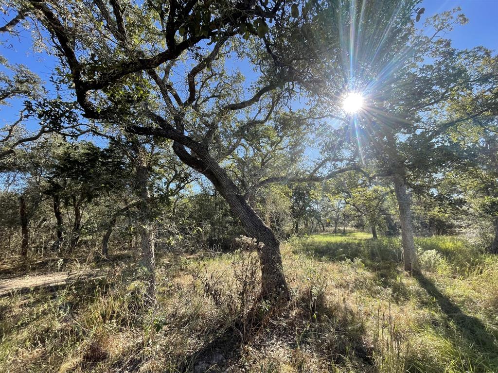 Lot 4 County Road 14, Hallettsville, Texas image 6