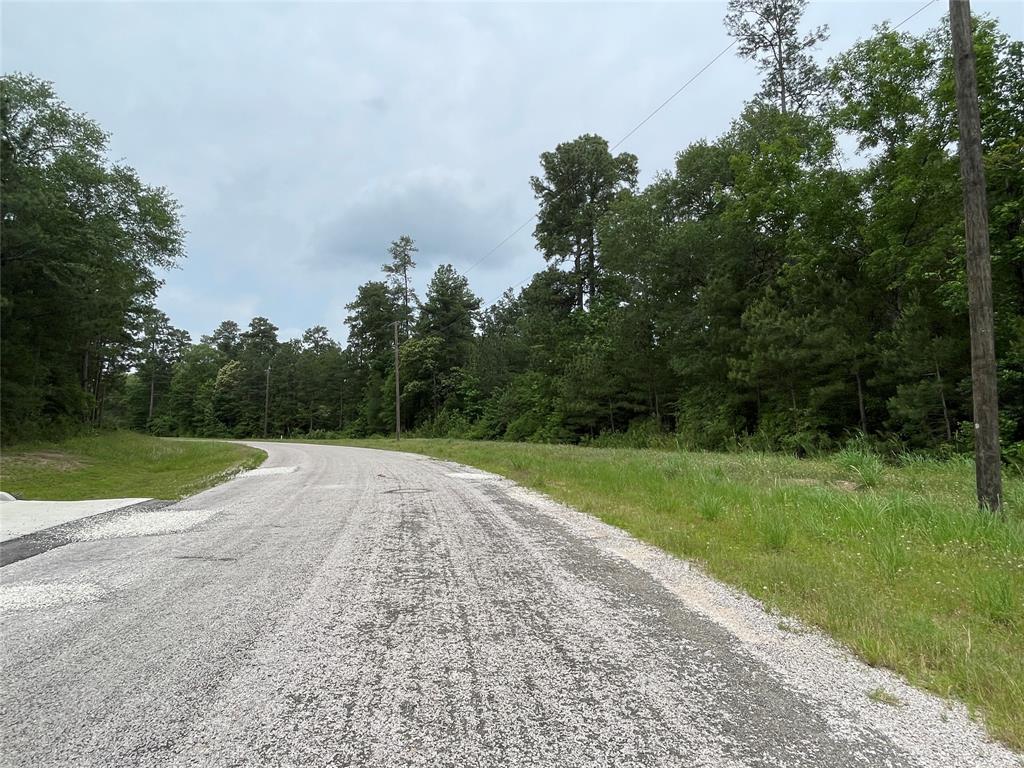 000-0 Hereford Trail, Huntsville, Texas image 3