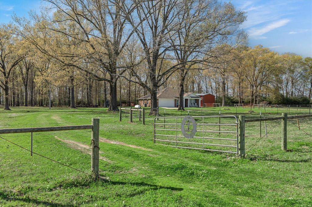 7542 County Road 4293, Tenaha, Texas image 3