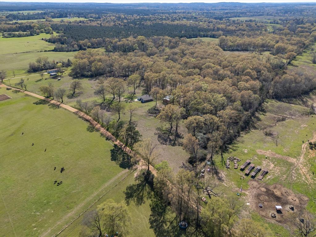 7542 County Road 4293, Tenaha, Texas image 42