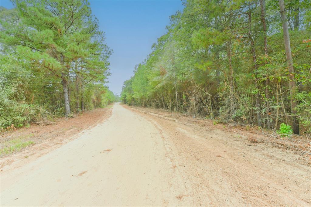 Lot 4 Portico, Livingston, Texas image 12