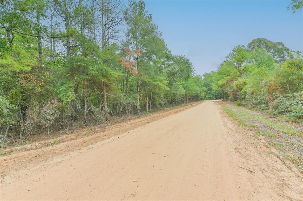 Lot 4 Portico, Livingston, Texas image 13