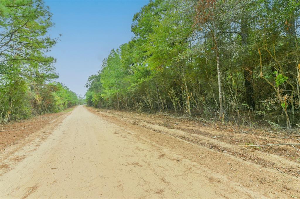 Lot 4 Portico, Livingston, Texas image 10