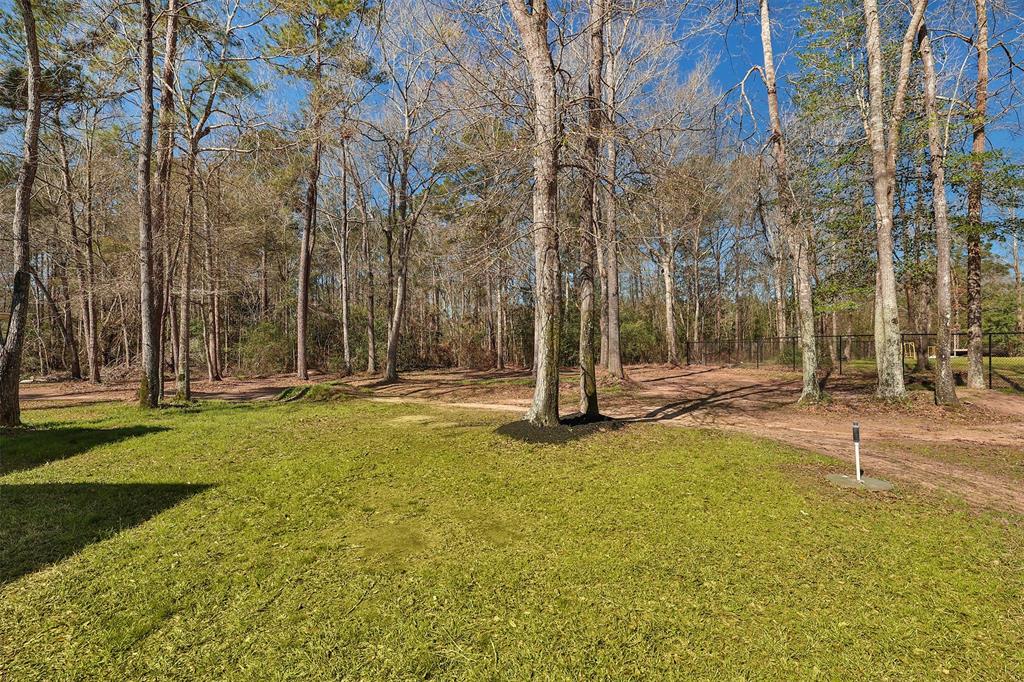 17110 Alara Drive, Splendora, Texas image 43