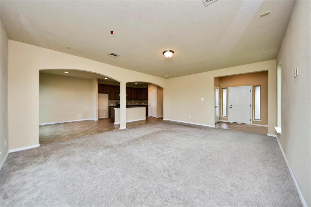 10132 Blue Point Juniper Drive, Houston, Texas image 6