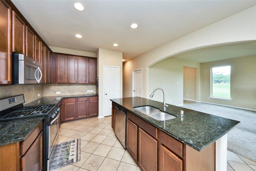 10132 Blue Point Juniper Drive, Houston, Texas image 5