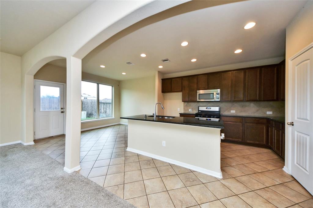 10132 Blue Point Juniper Drive, Houston, Texas image 4