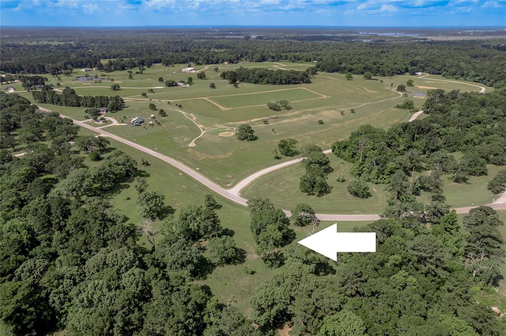 Lot 3 Tara Drive, Trinity, Texas image 3