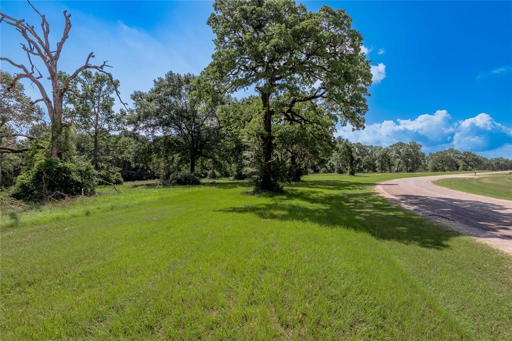 Lot 3 Tara Drive, Trinity, Texas image 8
