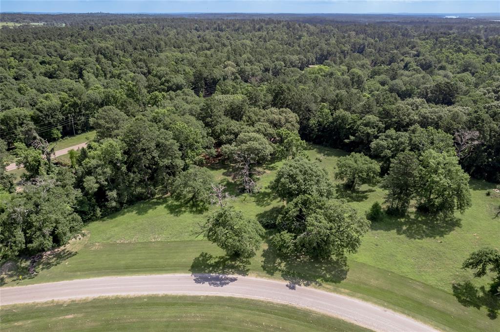 Lot 3 Tara Drive, Trinity, Texas image 26