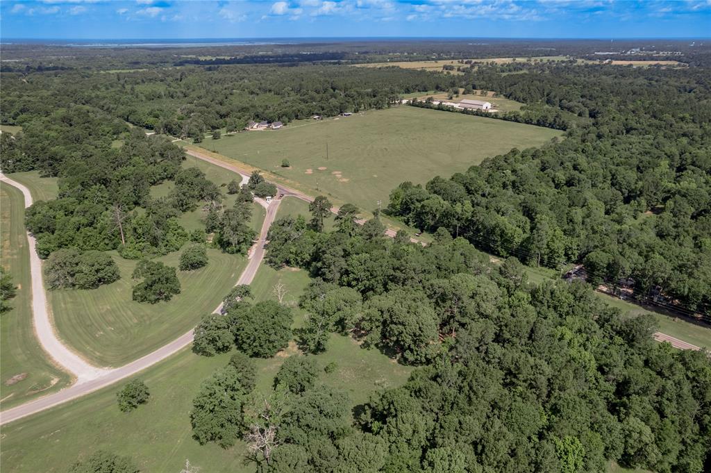 Lot 3 Tara Drive, Trinity, Texas image 18