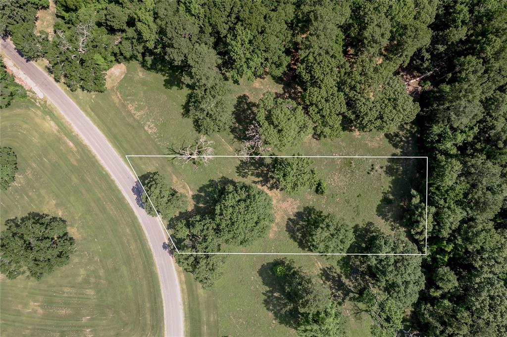 Lot 3 Tara Drive, Trinity, Texas image 2