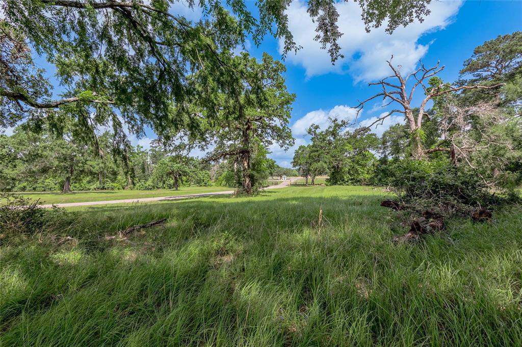 Lot 3 Tara Drive, Trinity, Texas image 13