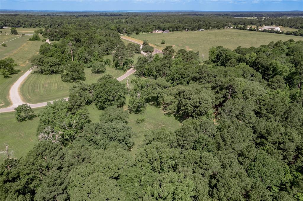 Lot 3 Tara Drive, Trinity, Texas image 24