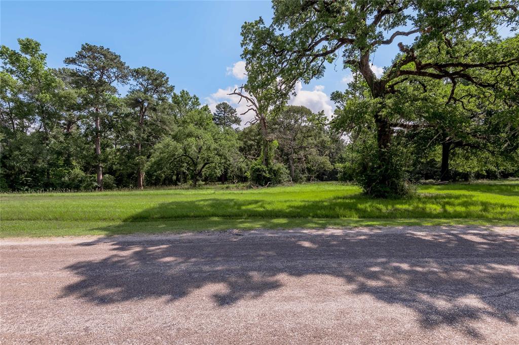 Lot 3 Tara Drive, Trinity, Texas image 5