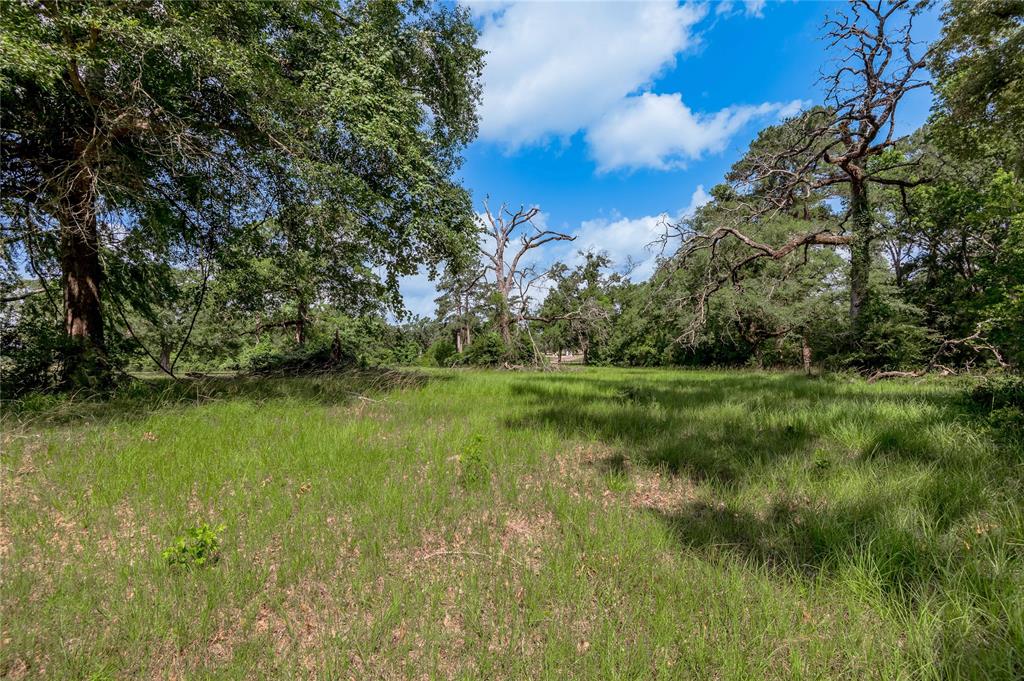 Lot 3 Tara Drive, Trinity, Texas image 12