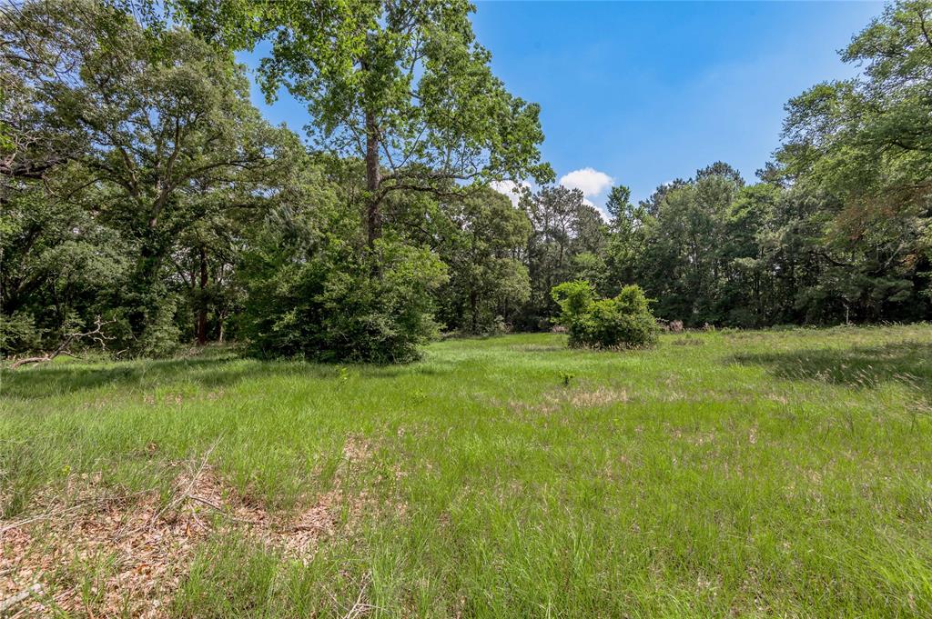 Lot 3 Tara Drive, Trinity, Texas image 11