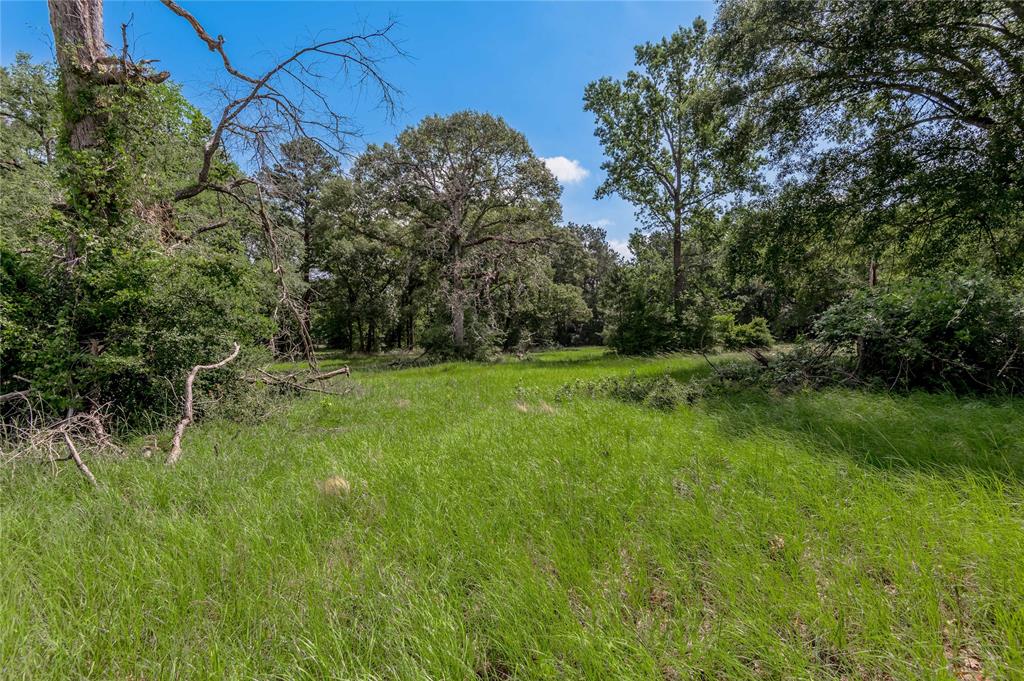 Lot 3 Tara Drive, Trinity, Texas image 10