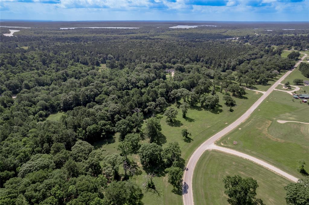 Lot 3 Tara Drive, Trinity, Texas image 16