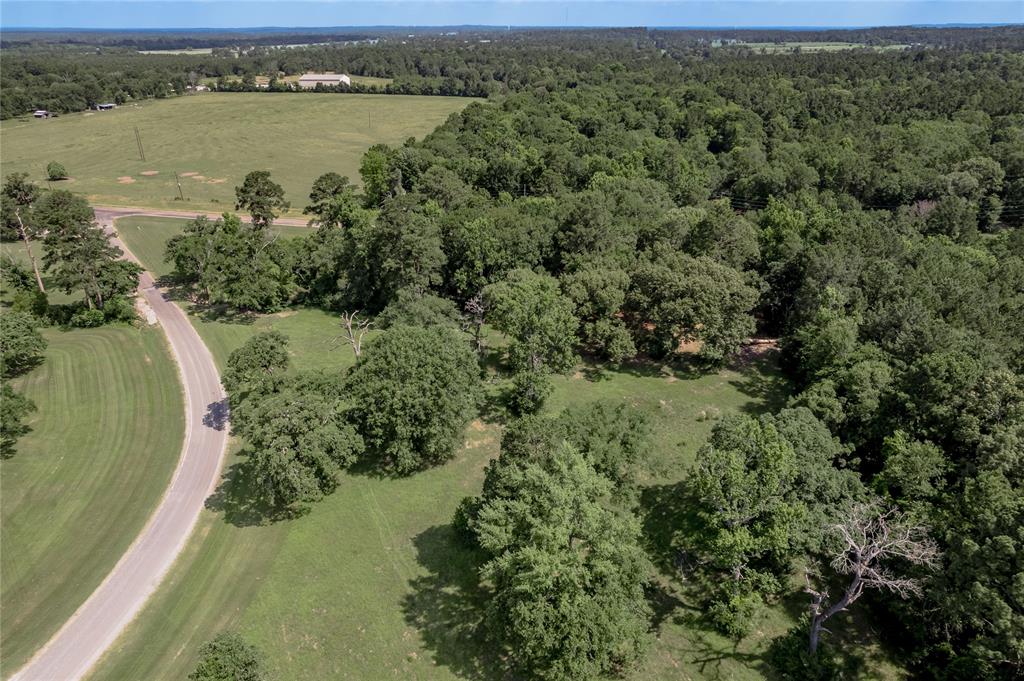 Lot 3 Tara Drive, Trinity, Texas image 25