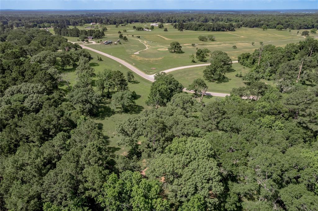 Lot 3 Tara Drive, Trinity, Texas image 23