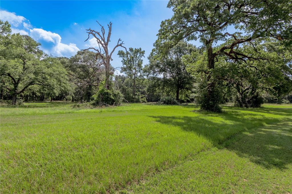 Lot 3 Tara Drive, Trinity, Texas image 7