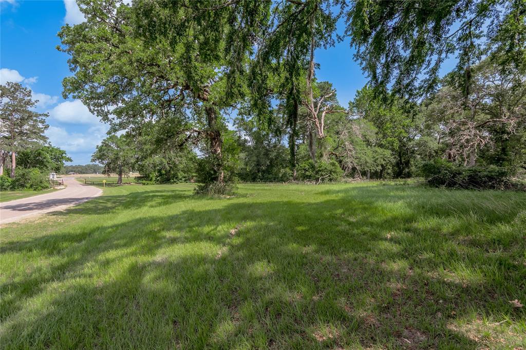 Lot 3 Tara Drive, Trinity, Texas image 14